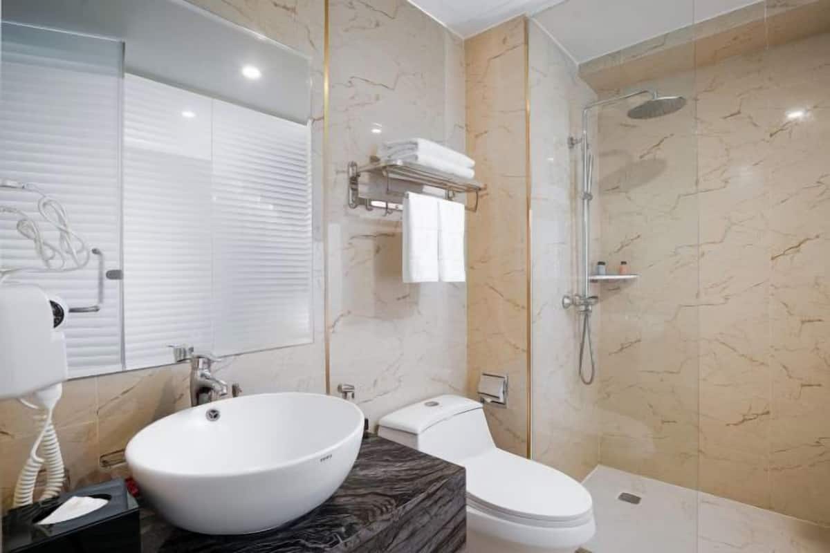 Bany | Dutxa, capçal de dutxa d'hidromassatge i articles de tocador gratuïts