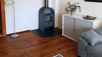 TV, fireplace, DVD player, books