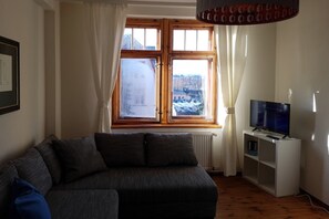 Televisio, takka, DVD-soitin, kirjoja