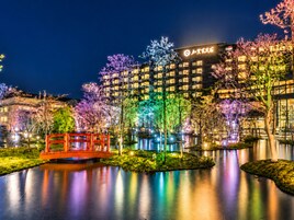 Japanese garden