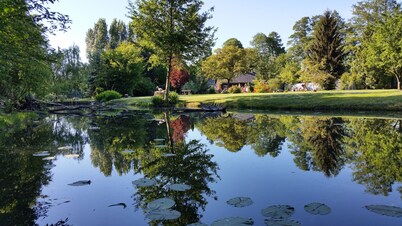 HOLIDAY IN THE POND MEADOWS - A PARADISE FOR NATURE LOVERS AND PEACEFUL PEOPLE