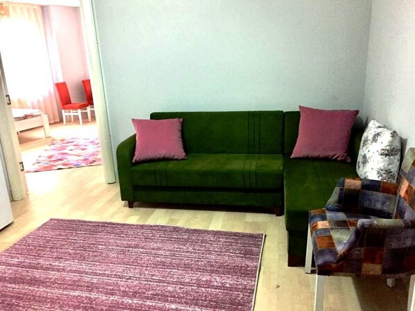 Apartment | Wohnbereich | 25-Zoll-LED-Fernseher mit Satellitenempfang, Fernseher