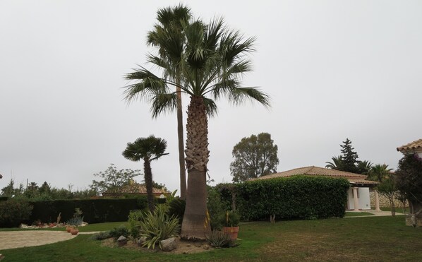 Jardines del alojamiento