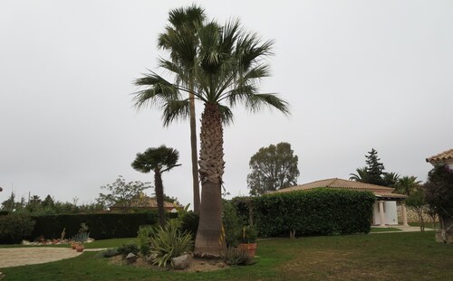 Cómoda casa de vacaciones Aura Maris en un tranquilo y hermoso jardín