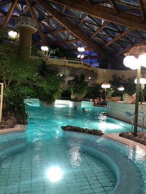 An indoor swimming pool with a glass ceiling, surrounded by tropical plants and rocks.