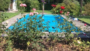 Una piscina rodeada de exuberante vegetación y plantas en flor.