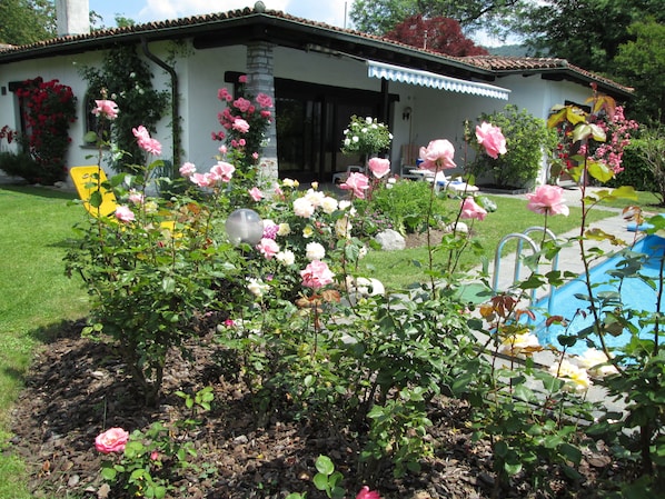 Exterior - Villa with swimming pool and large garden with parking (license no. NL-00004541) (Magliaso)