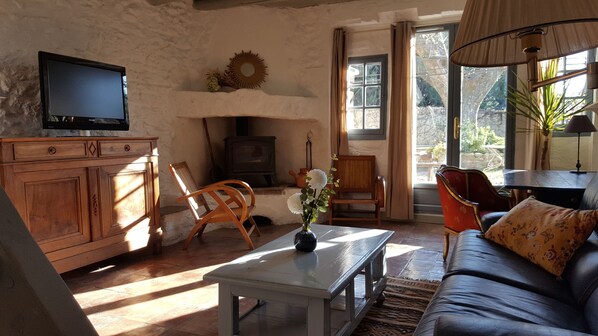 TV, fireplace, video games, DVD player