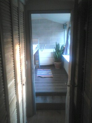 Bathtub, hair dryer, towels, toilet paper