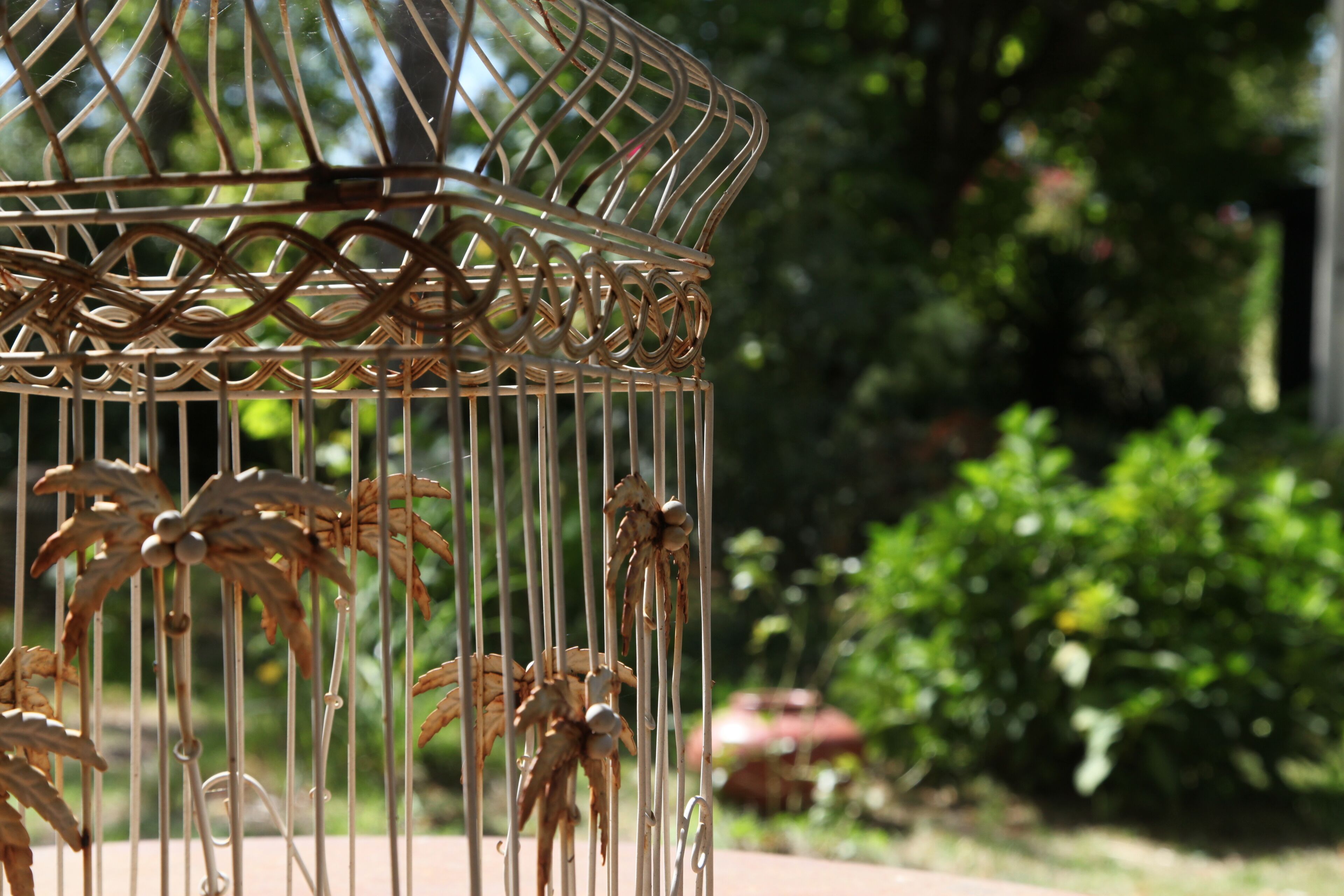 Ein Vogelkäfig aus Metall mit dekorativen Verzierungen und unscharfem Garten im Hintergrund.