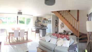 Télévision, cheminée, jeux vidéo, lecteur de DVD