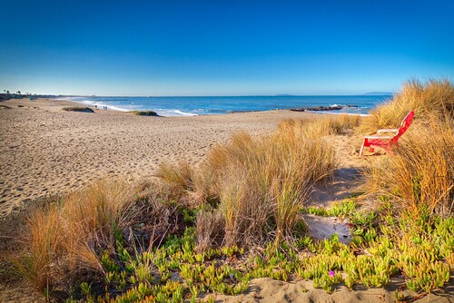 Perfektes Strandhaus!  Meerblick, Schritte zum Strand - toller Garten!