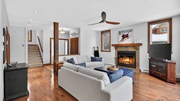 Smart TV, fireplace, DVD player, video library