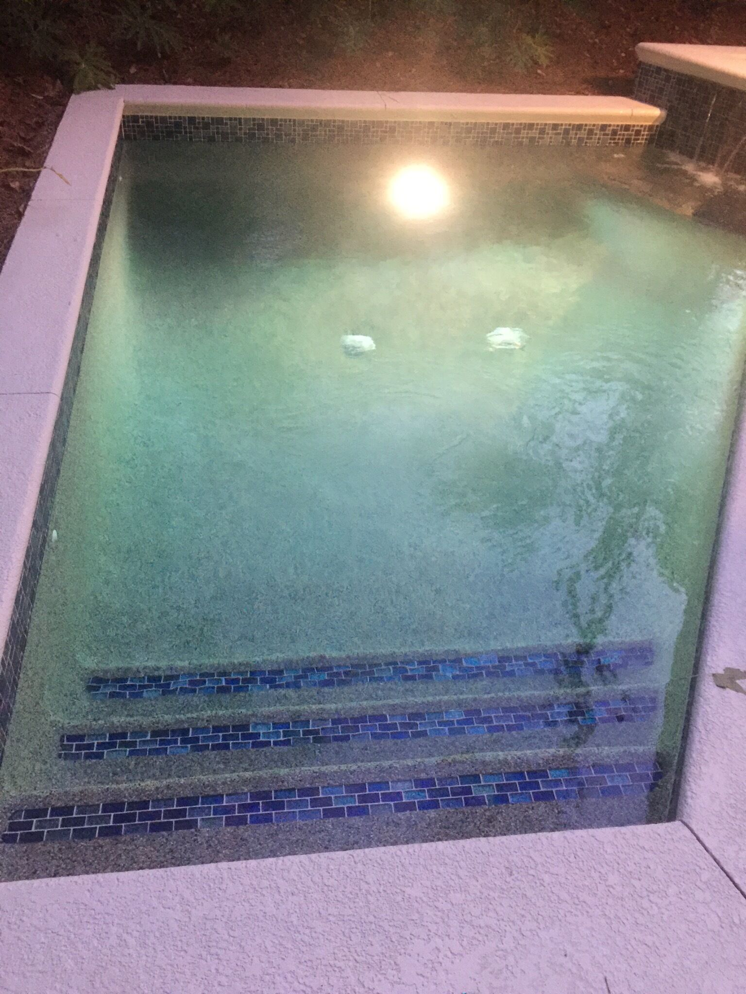 プー ル