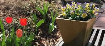 Historic Cottage - Near Grove Park Inn - Private Garden w/ Hot Tub and Swing