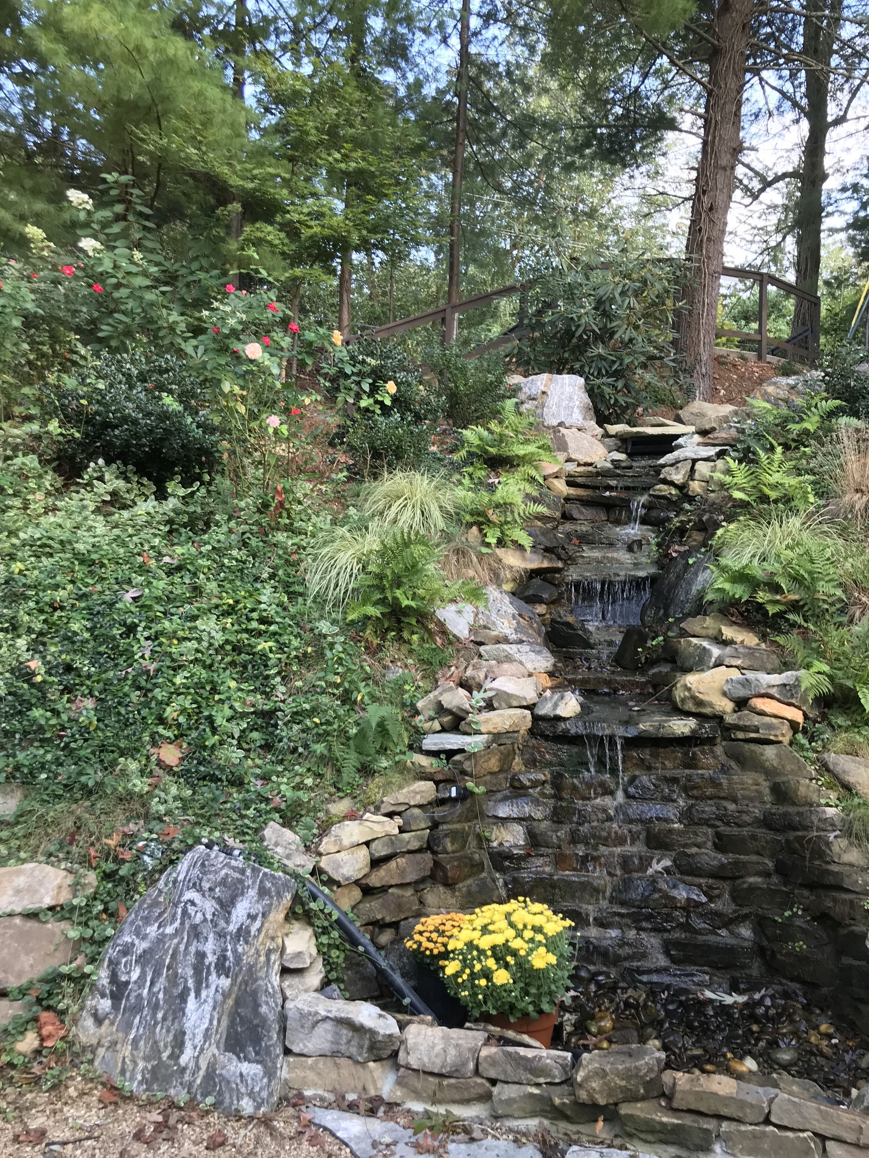 Enceinte de l’hébergement