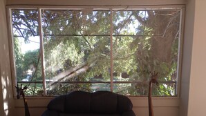A room with a large window, a dark sofa with patterned cushions, and two tall vases. - Golden Days Executive lodge (Lusaka)