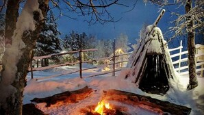 Unclassified image, 2 of 62, button - Camp Adventure (Jukkasjarvi)