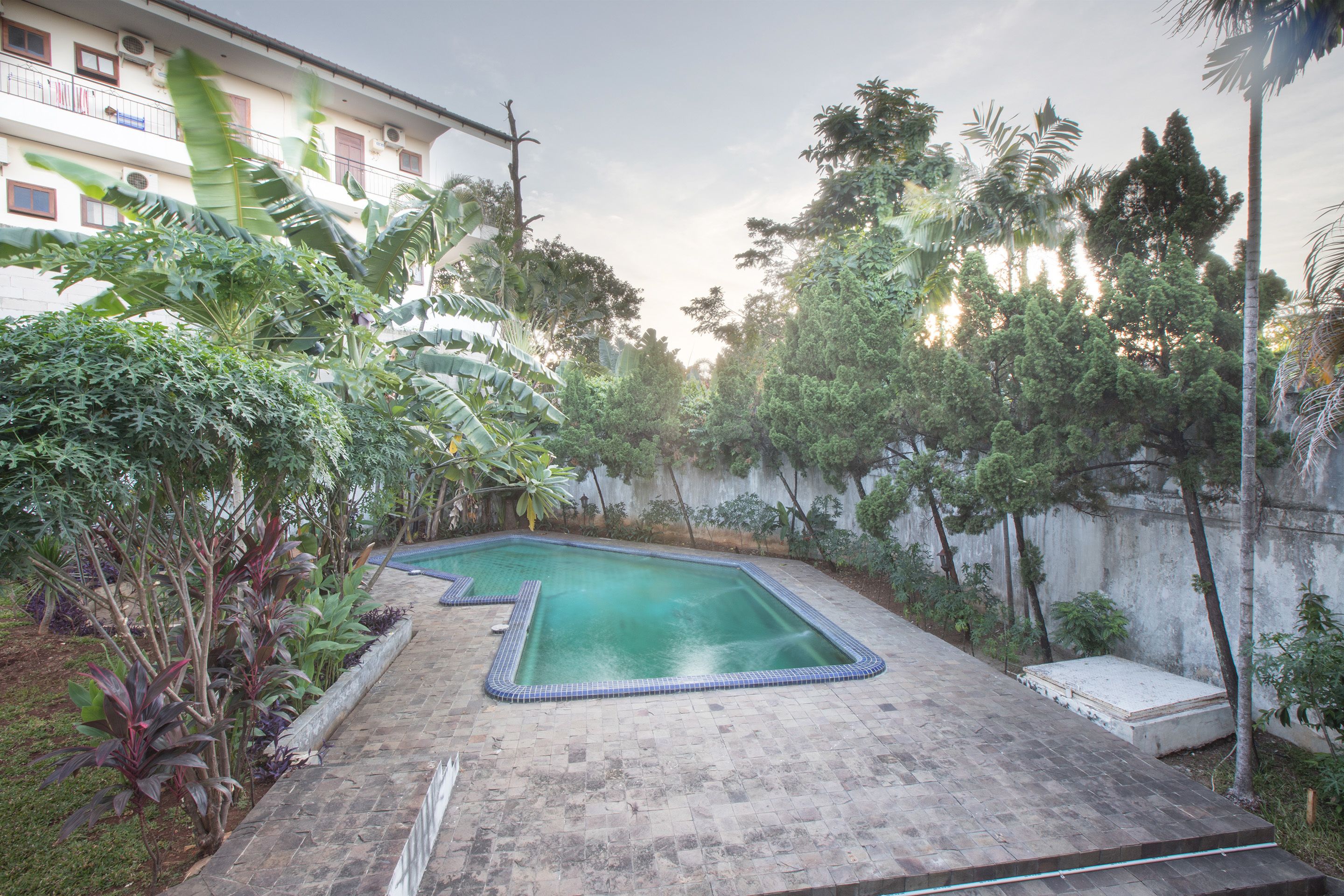 A rectangular swimming pool with a tiled border, surrounded by lush greenery and a concrete deck.
