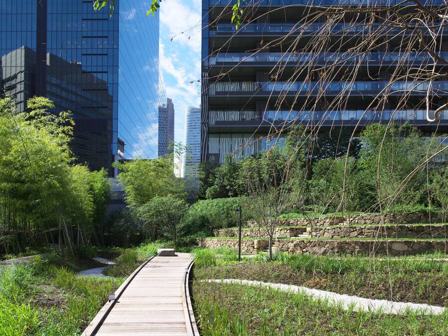 A wooden boardwalk leading through a landscaped area with dense greenery and a stone wall.