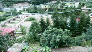 Ländliche Landschaft mit terrassenförmigen Feldern, dichtem Grün und einem Gebäude mit rotem Dach.