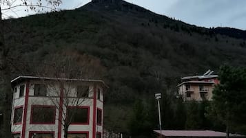 外觀