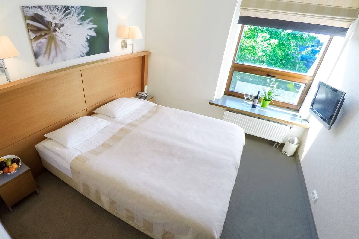 Camera Standard con letto matrimoniale o 2 letti singoli, vista città | Ferro/asse da stiro, culle/letti per bambini (a pagamento)