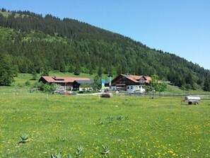 Entorno rural con una casa rodeada por un campo cercado, un pequeño edificio y una colina boscosa al fondo.