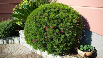 Jardín
