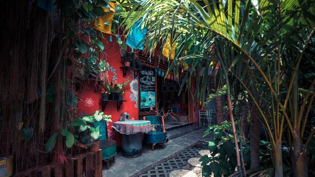 Un espace extérieur accueillant, avec un mur rouge, des meubles en bois et une végétation luxuriante.