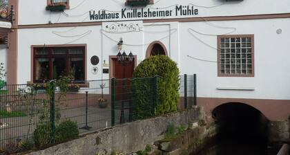 Waldhaus Knittelsheimer Mühle