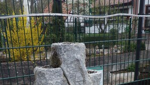 Exterior detail - Waldhaus Knittelsheimer Mühle (Knittelsheim)