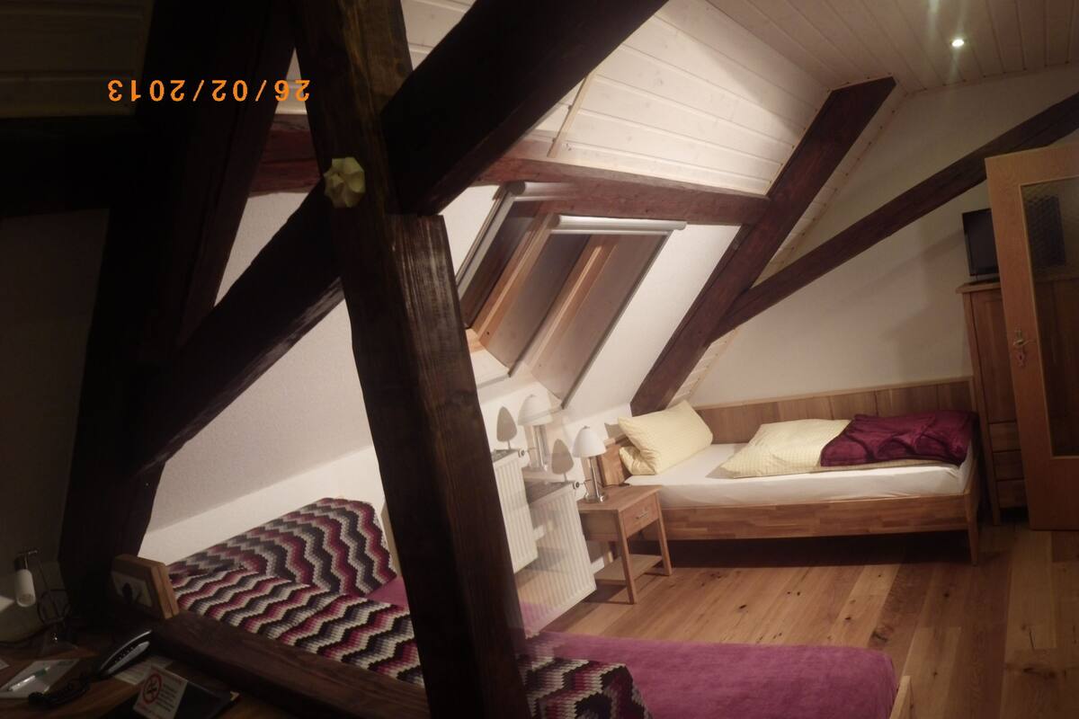 Habitación estándar con 2 camas individuales | Escritorio, wifi gratis, ropa de cama