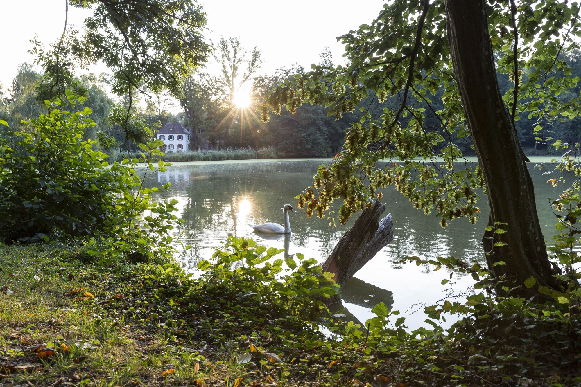 4-Sterne-Hotels