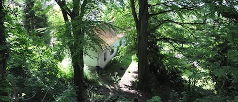 Yksityiskohta ulkoa
