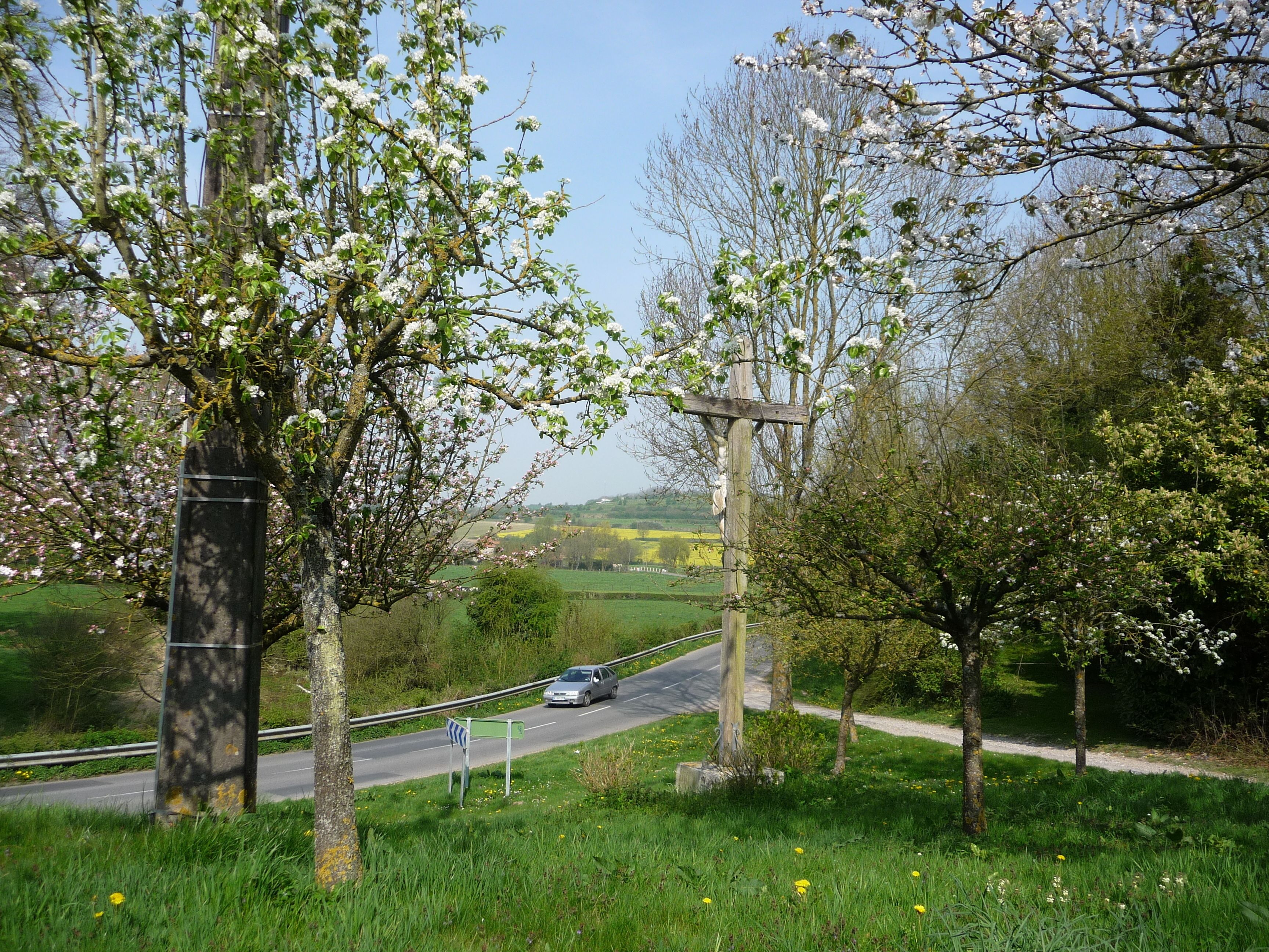 A rural road with a car passing by, surrounded by blooming trees and a clear sky.