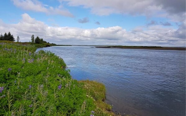 A riverbank with greenery and purple flowers. - Guesthouse Uggi (Rangárþing ytra)