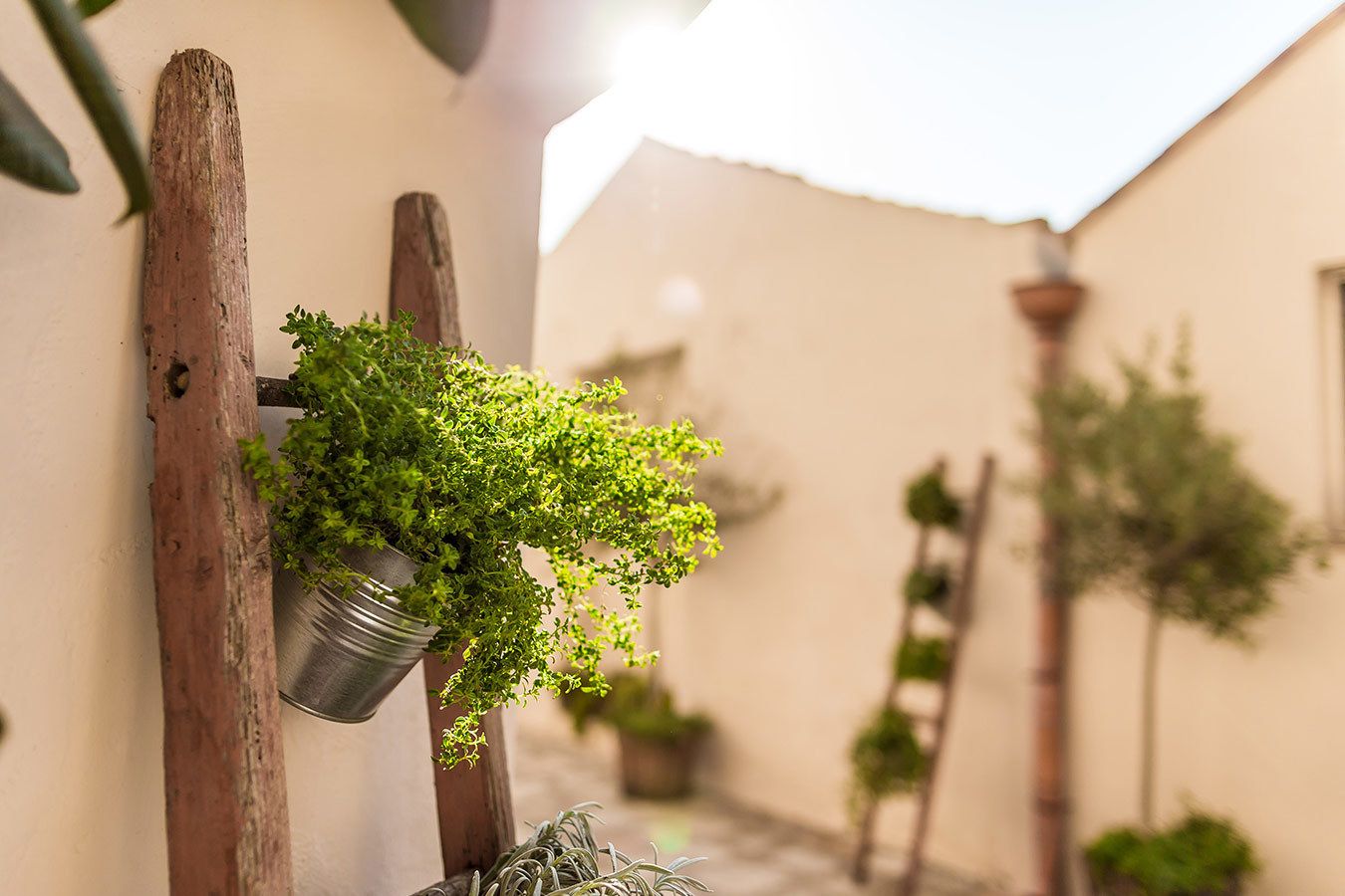 A narrow alleyway with a hanging metal pot of green plants on a wooden post.