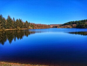 A tranquil lake with a clear reflection, surrounded by dense forest and a distant hill. - Park House Country Guest House (Northallerton)