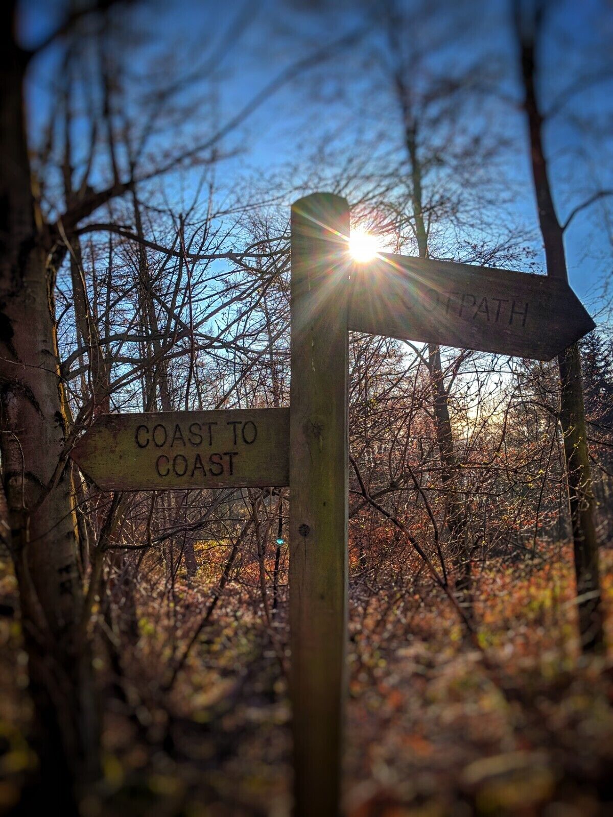 Un cartel de madera con flechas direccionales y el texto 'COAST TO COAST' y 'PATH'.