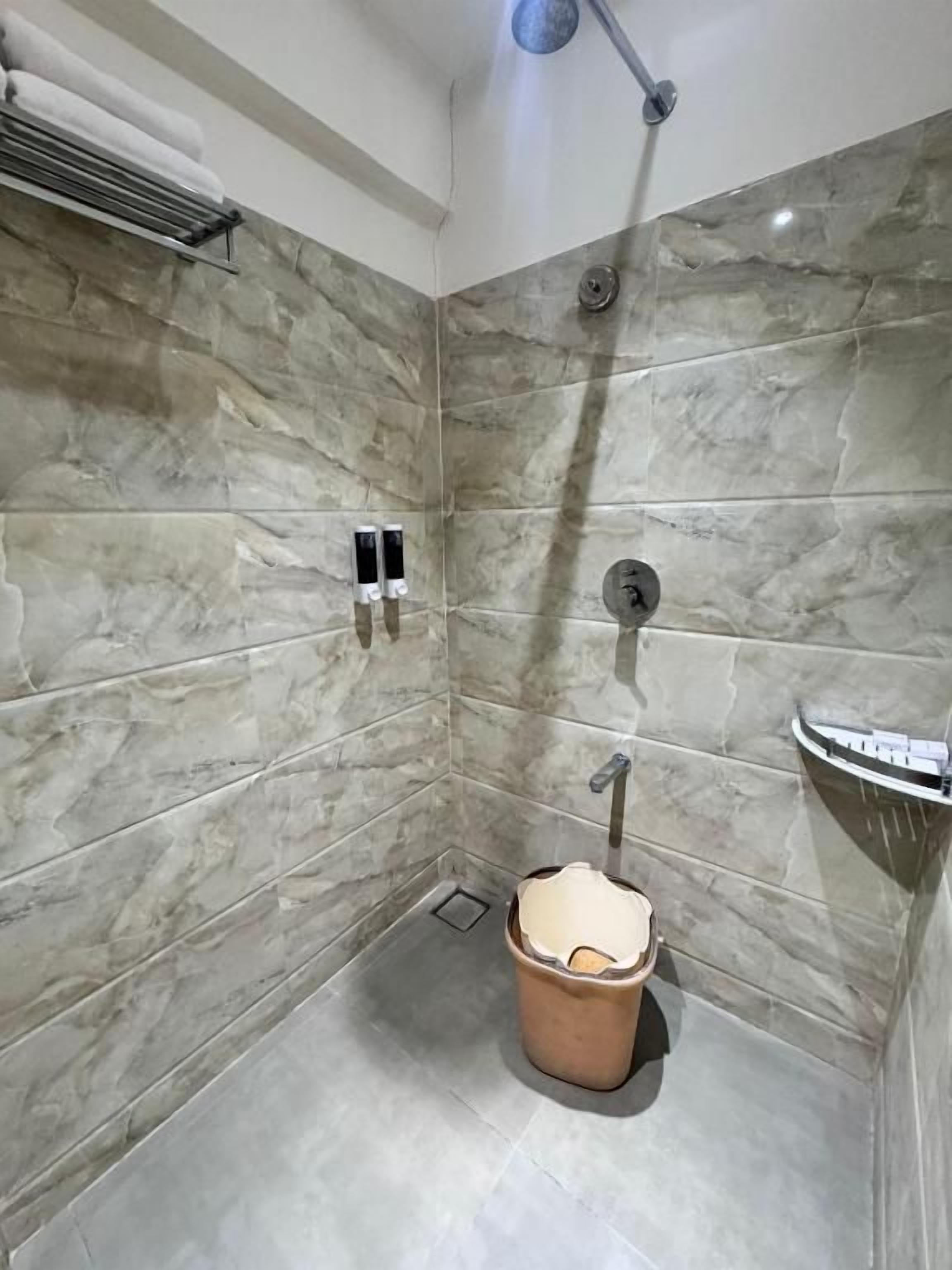 Une salle de bain avec une douche, un porte-serviettes et des toilettes.