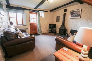 Fireplace - Appleloft (Bude)
