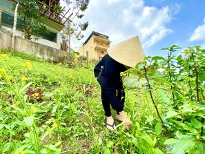 View from property - Phong Nha Coco Riverside Homestay (Bo Trach)