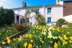 Front of property - Camellia Cottage (Truro)