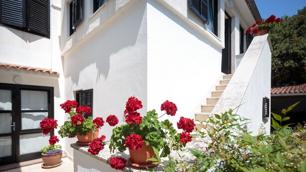 Un bâtiment blanc avec un toit recouvert de tuiles, un escalier et des fleurs rouges dans des pots.