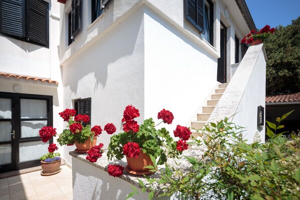 Garden view - Nice Cozy Apartments C52 (Rovinj)