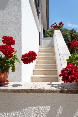 Garden view - Nice Cozy Apartments C52 (Rovinj)