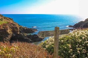 Beach - Ocean View, Portloe (Truro)