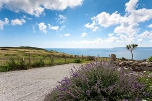 Property grounds - Orchard Cottage (Penzance)