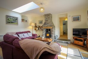 Fireplace - Sloe Cottage (Bodmin)